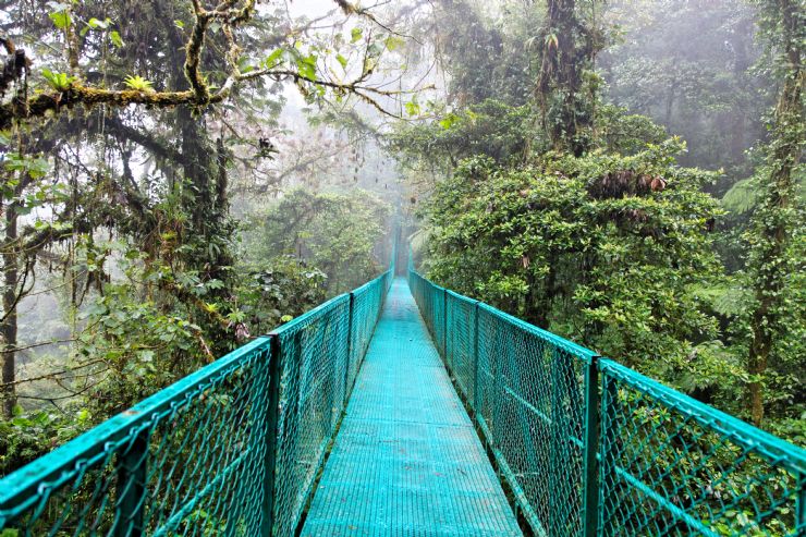 Beautiful suspension bridge in Monteverde