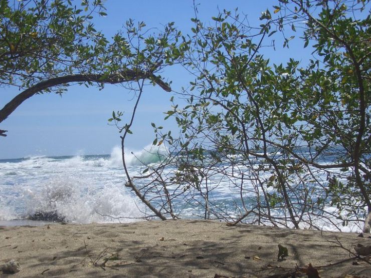 Playa Junquillal