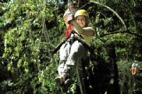 Canopy Tour Adrenaline
