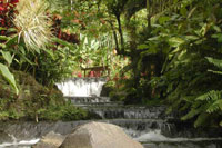 Costa Rica Tour Photos