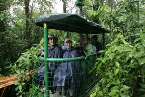 rainforest aerial tram