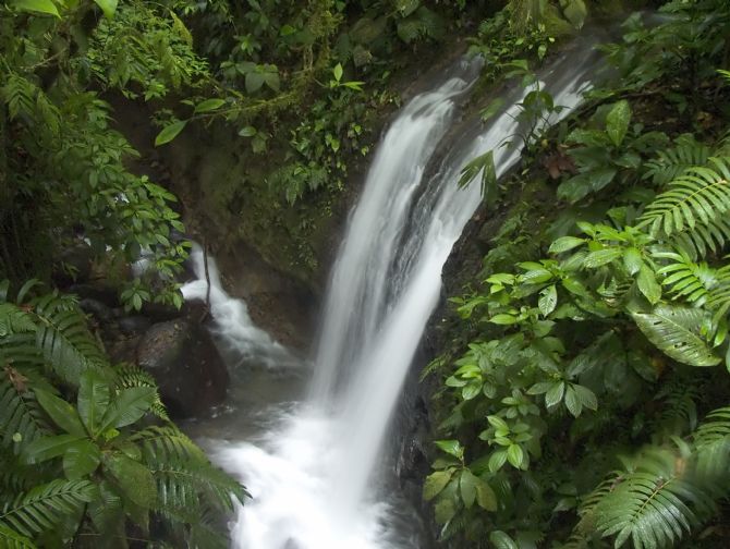 Monteverde (Area) - Costa Rica - Go Visit Costa Rica