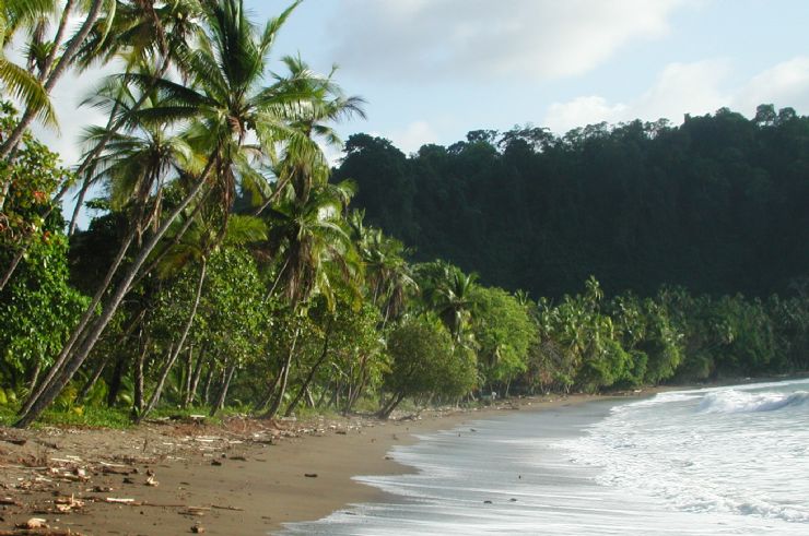 Playa San Josecito, Costa Rica - City Guide - Go Visit Costa Rica