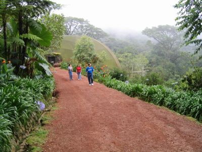 Visit A Colorful Butterfly Farm Go Visit Costa Rica