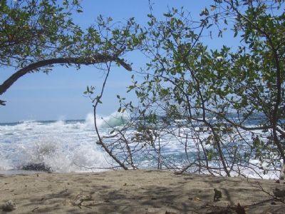 Playa Junquillal Guanacaste Go Visit Costa Rica