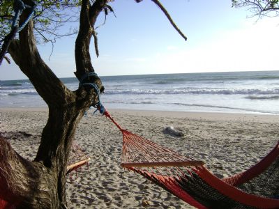 What to Do in Santa Teresa Beach, Costa Rica - Tours Tips