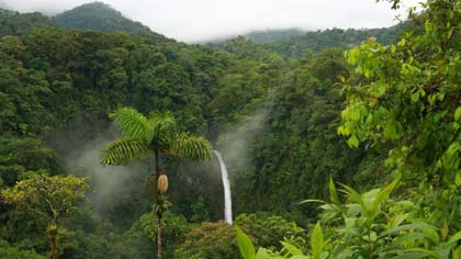 Costa Rica Cloud Forest & Arenal Volcano Tour