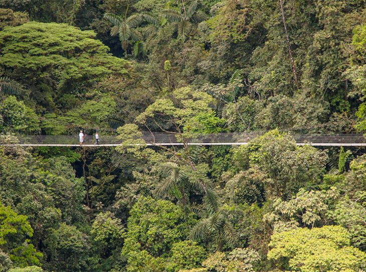 Mistico Arenal Hanging Bridges Park - Go Visit Costa Rica